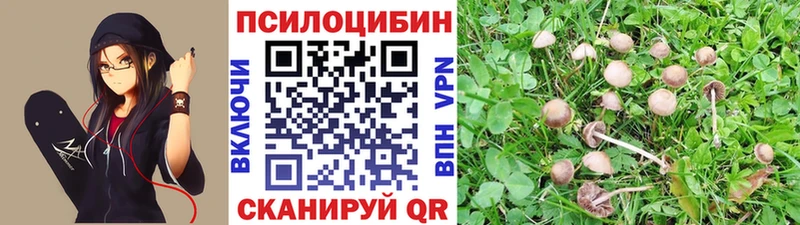 мориарти телеграм  Сретенск  Псилоцибиновые грибы мухоморы 